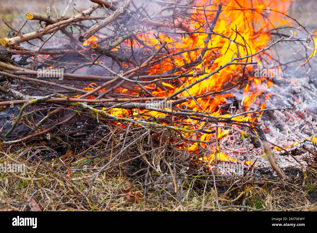 Burning dry branches in fire hi-res stock photography and images - Alamy