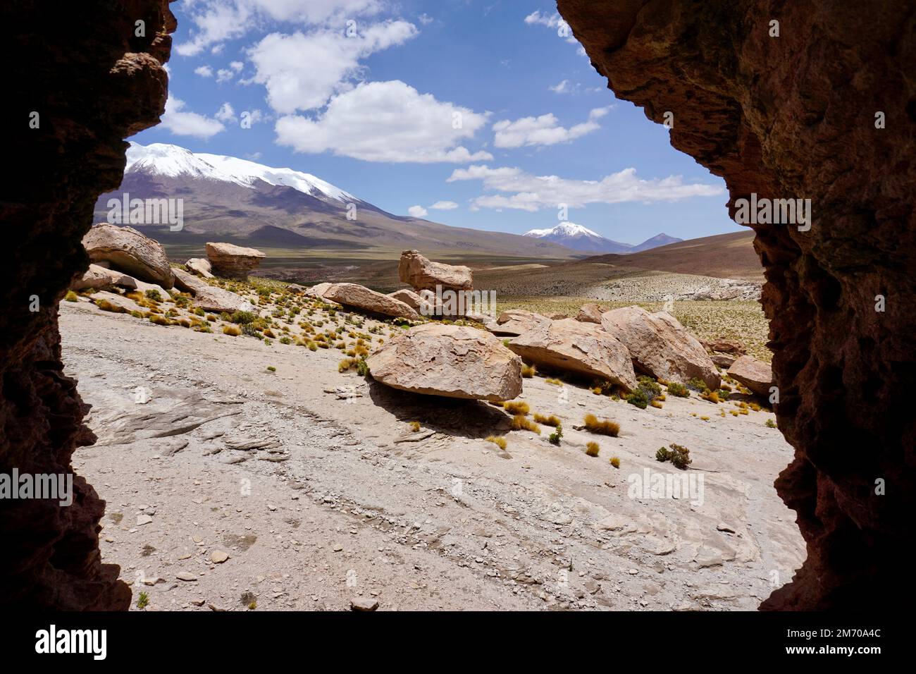 Rocks and grass with snowy mountains in the background in national reserve in Bolivia Stock Photo