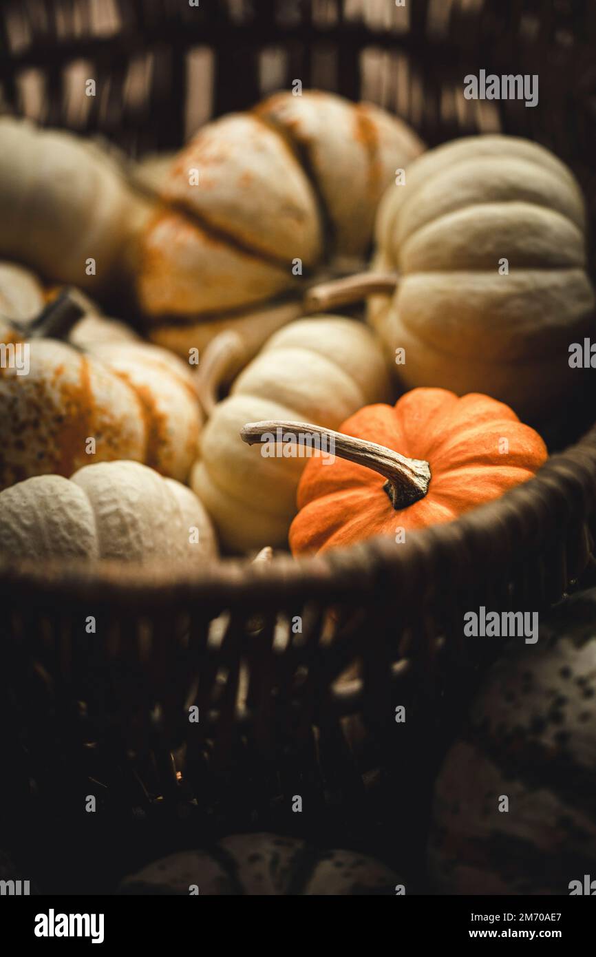 Pumpkins in a rustic kitchen Stock Photo
