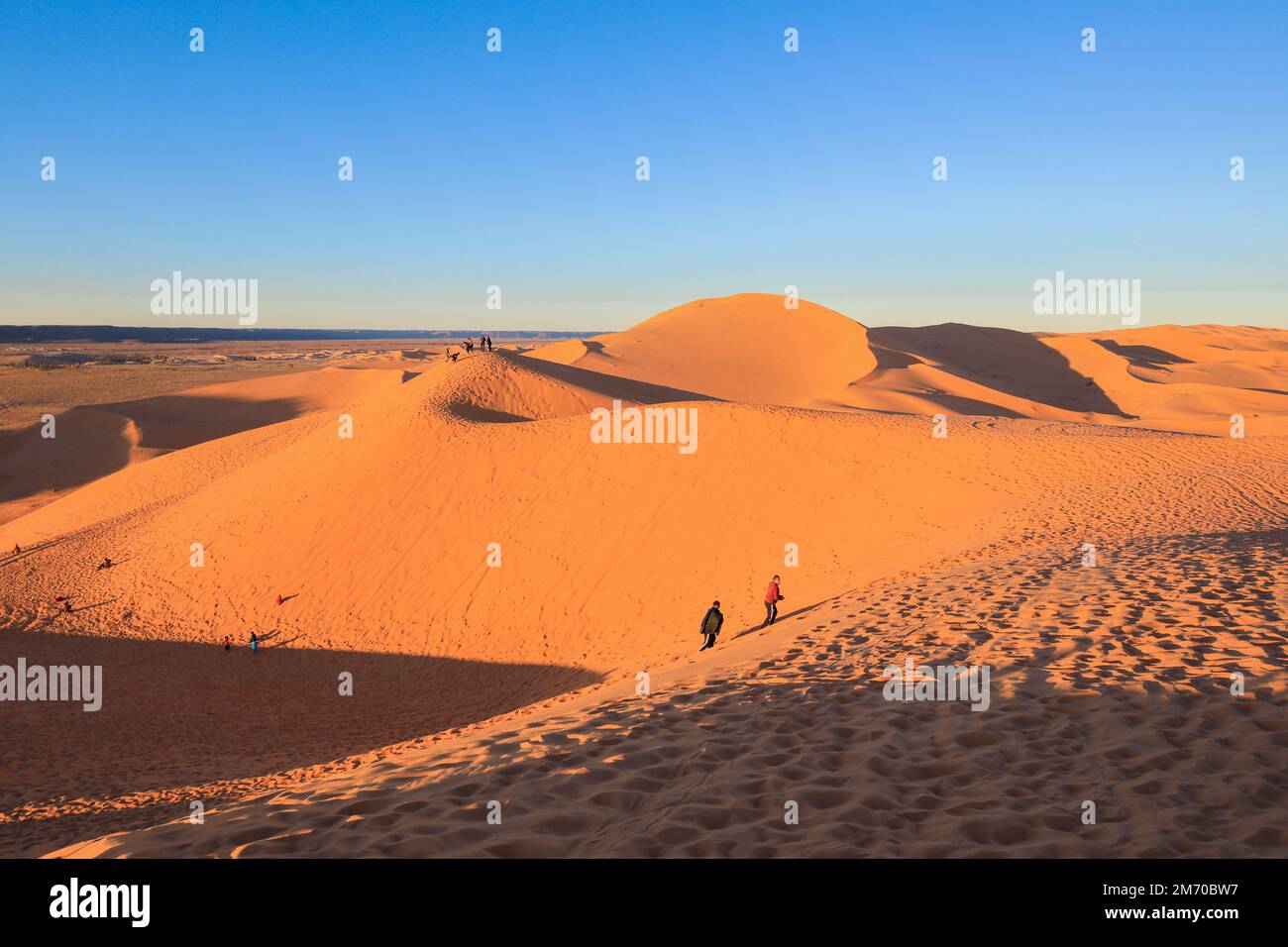 Amazing View to the Golden Sahara Desert Sands near the oasis town Taghit, Algeria Stock Photo