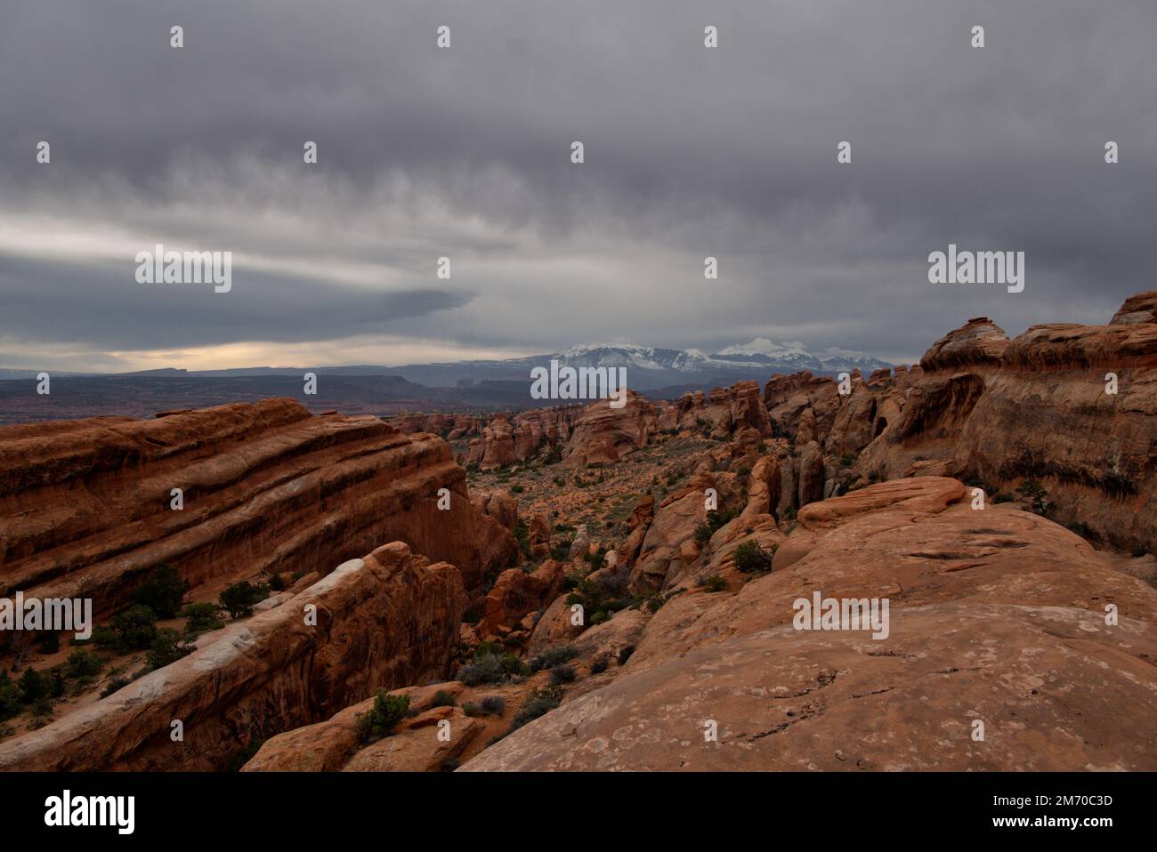 atop a tall sandstone fin ooking to the west toward the La Sal
