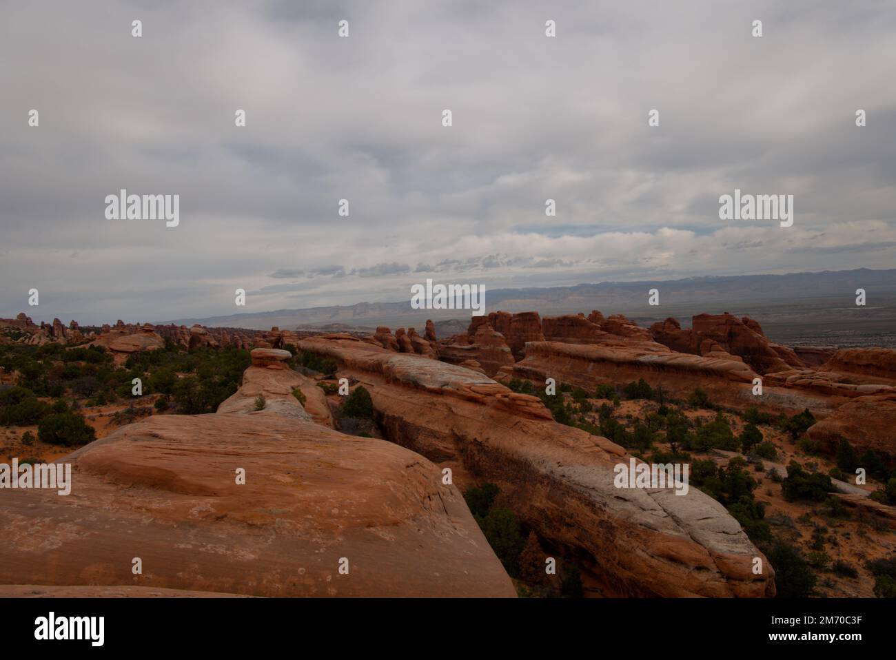 A maze of sandstone fins and ridges on the Devil's Garden Trail in ...