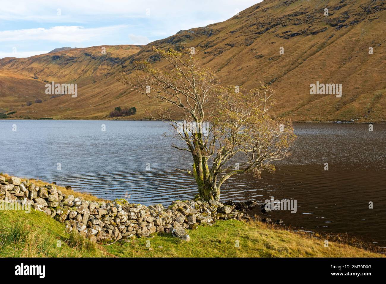 Loch na Leitreach on the Inverinate Estate, Scotland. Stock Photo