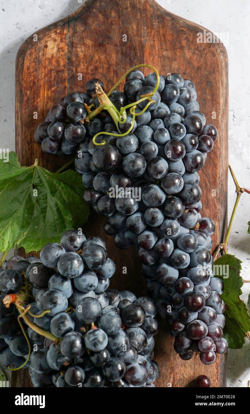 Grape Wine Cork Wall Tiles