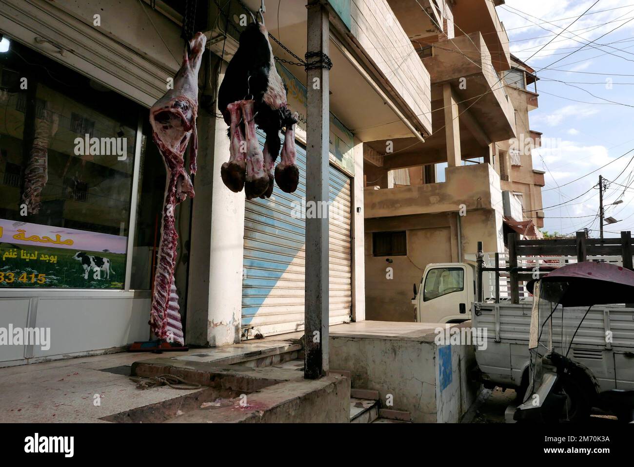 Animal slaughtering according to Muslim halal rules in a village near