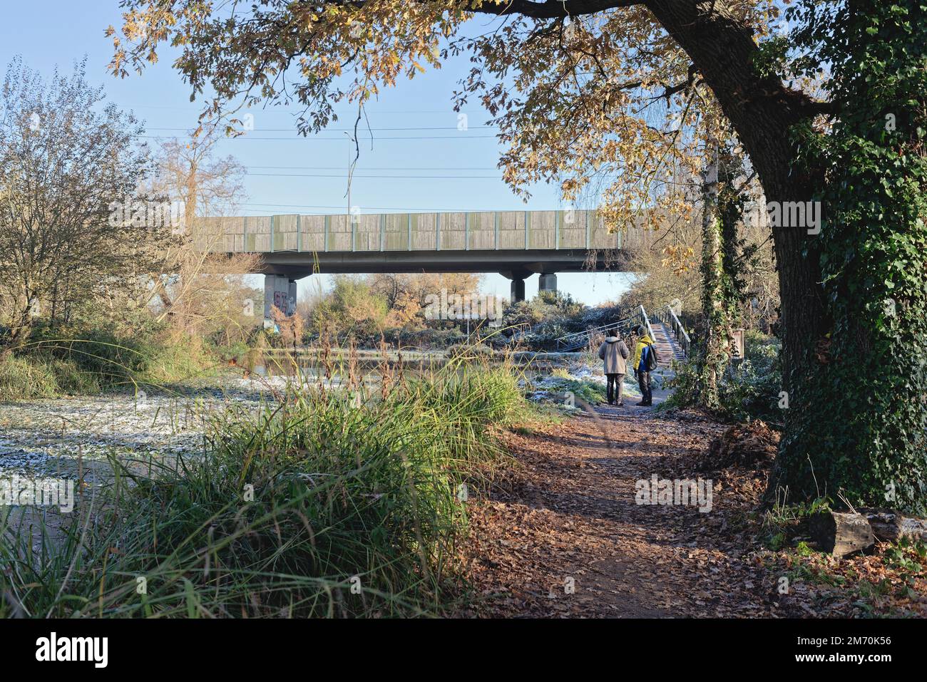 The start of the  Basingstoke canal at New Haw on a cold and frosty winters day, Surrey England UK Stock Photo