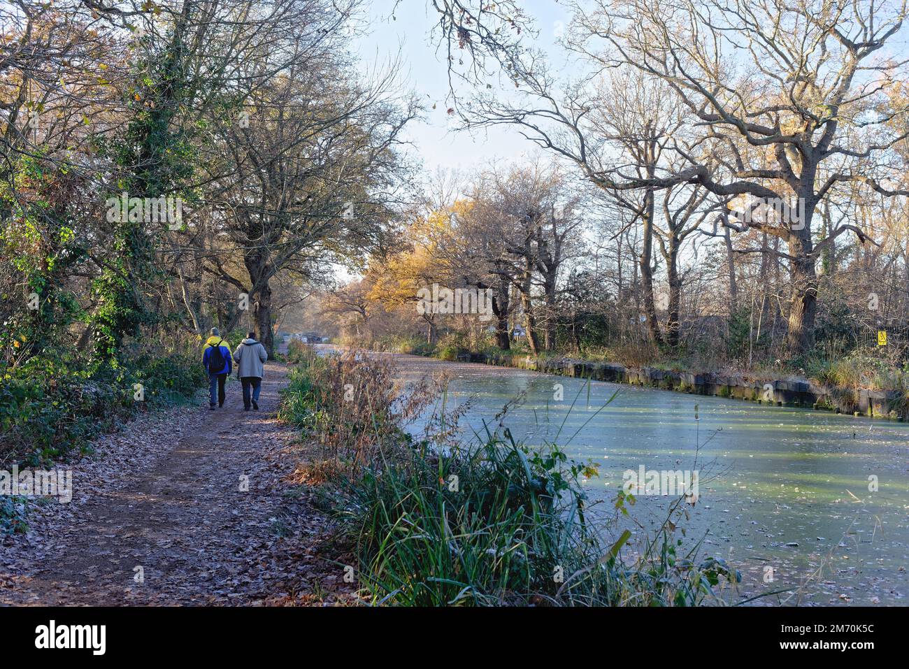 The start of the Basingstoke canal at New Haw on a cold and frosty