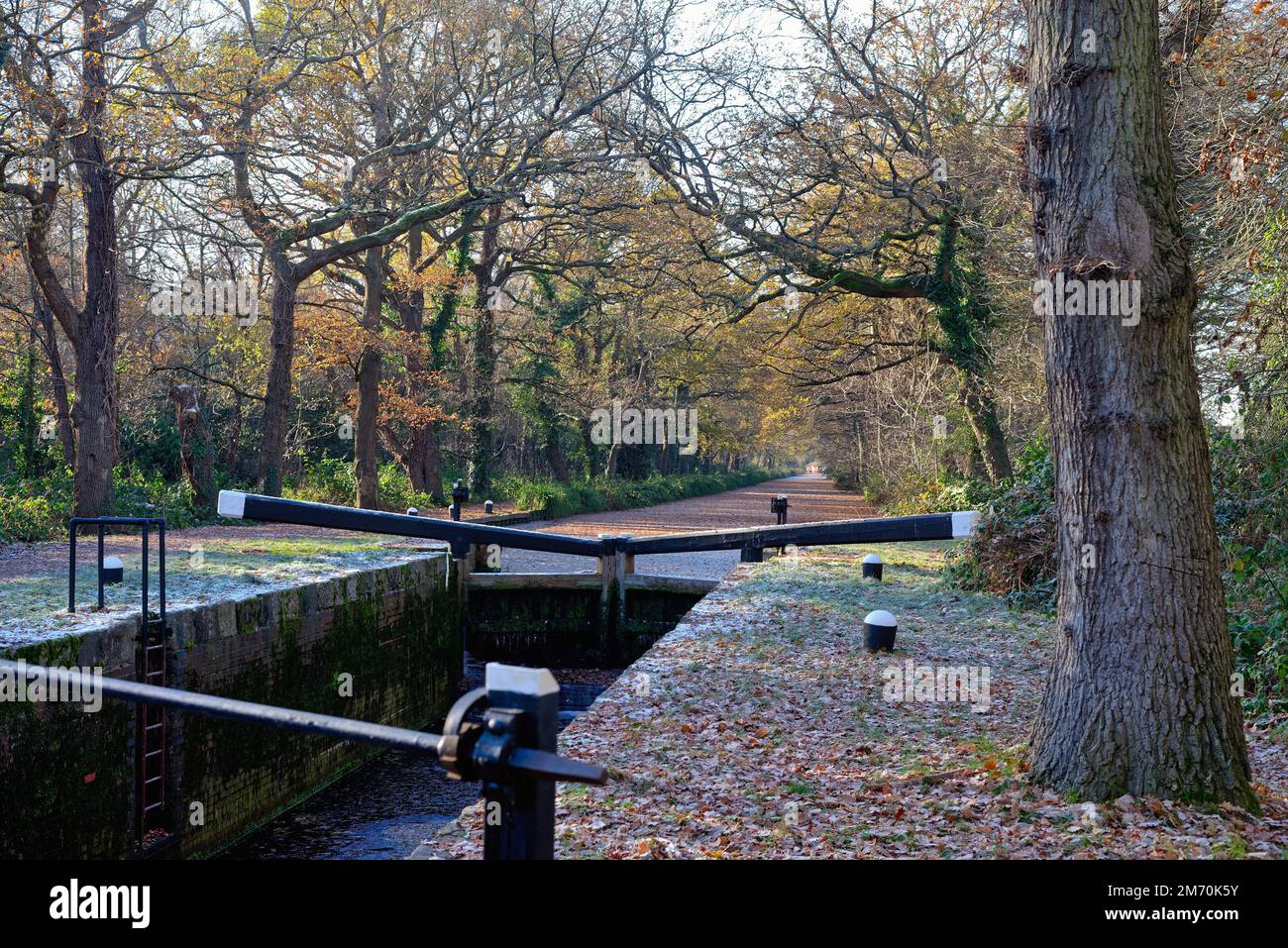 The start of the Basingstoke canal at New Haw on a cold and frosty