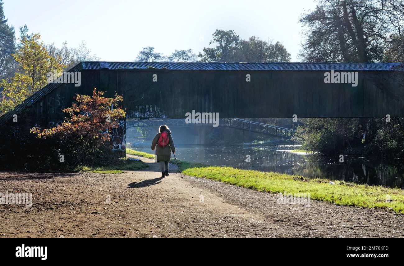 A lone middle aged woman walking by the River Wey navigation canal at
