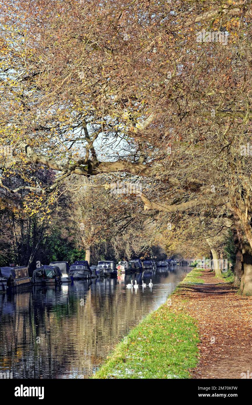 The River Wey navigation canal at New Haw on a cold and frosty winters