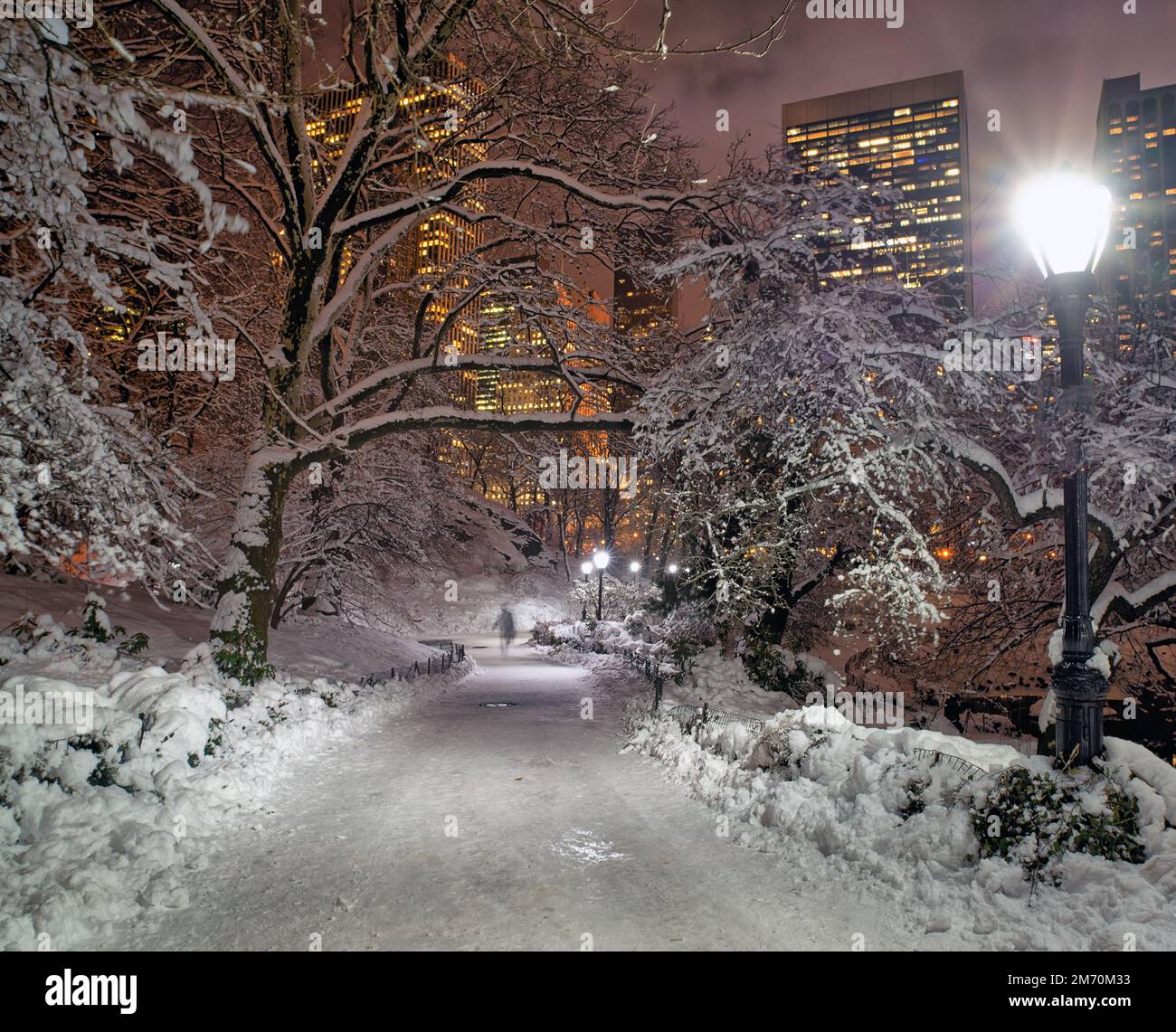 Central Park in winter during snow storm at night Stock Photo - Alamy