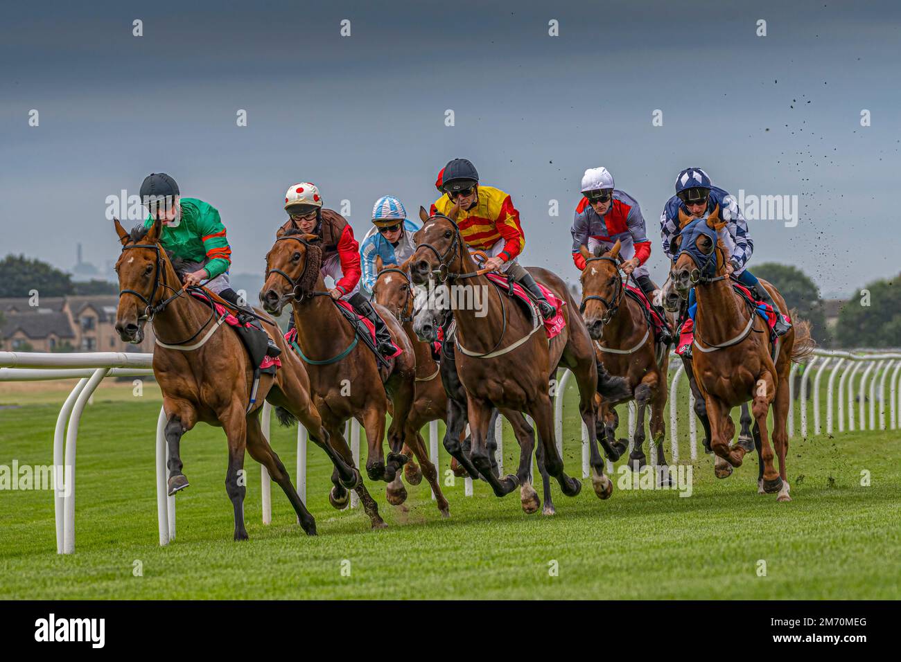 The Race is on. Musselburgh, horseracing, Scotland Stock Photo