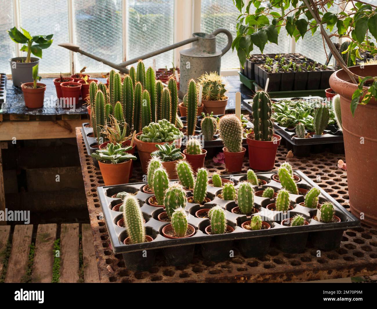 Floors Castle, Kelso, seat of the Duke of Roxburghe. Gardens open to