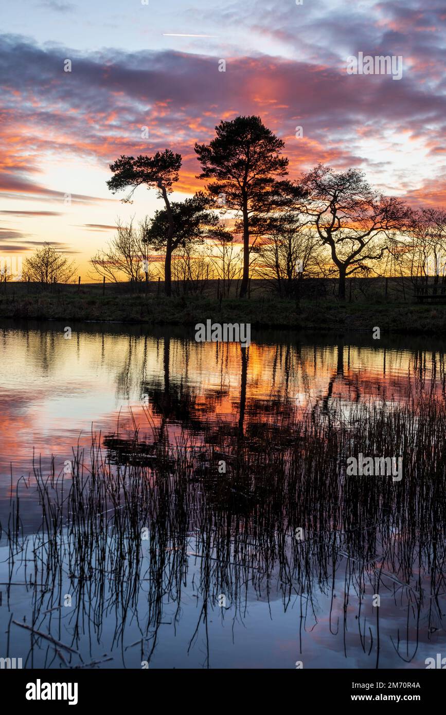 Bowden scotland hires stock photography and images Alamy