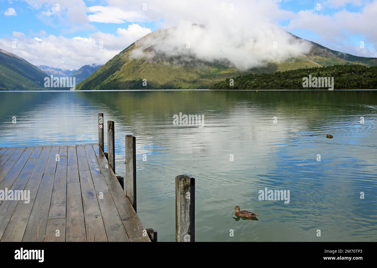 Pier and duck - Nelson Lakes National Park, New Zealand Stock Photo