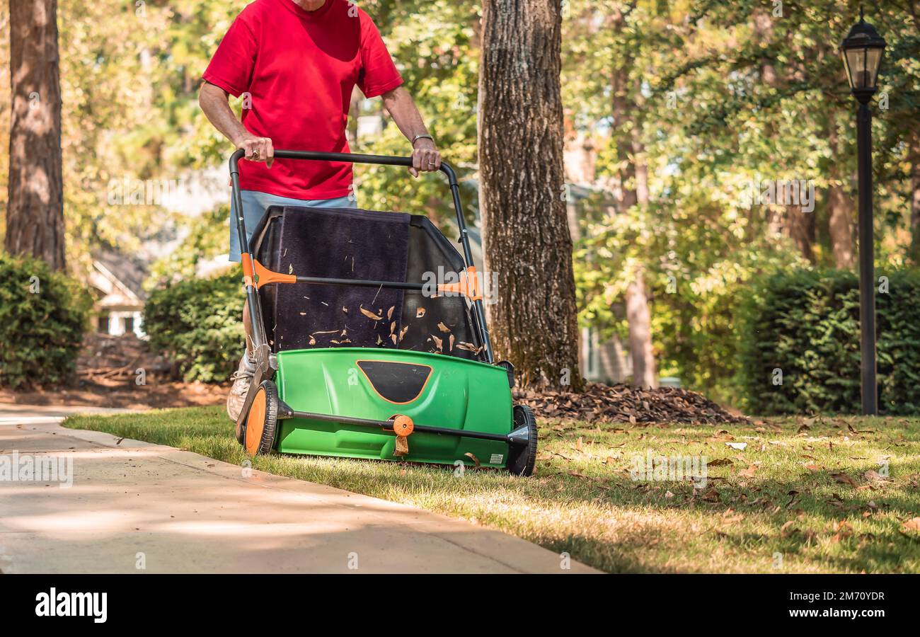 Man using manual push lawn sweeper to remove fall leaves from residential backyard grass lawn. Stock Photo