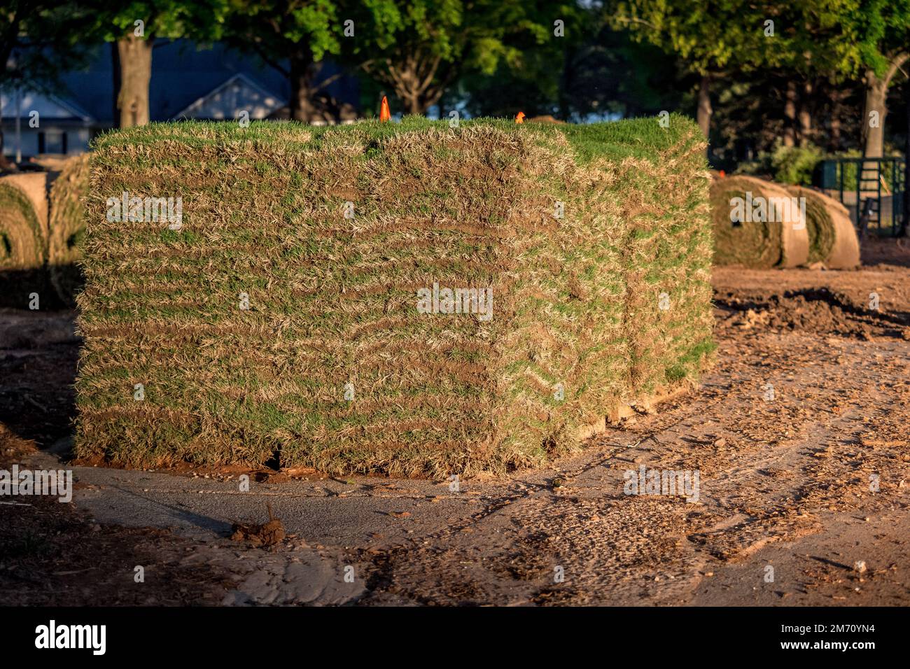 Fresh sod grass squares stacked on pallet ready for landscape installation. Stock Photo