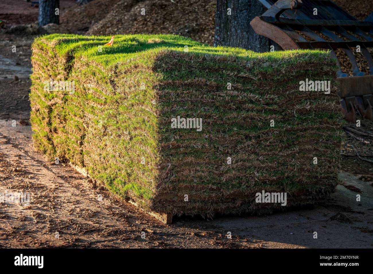 Fresh sod grass squares stacked on pallet ready for landscape installation. Stock Photo
