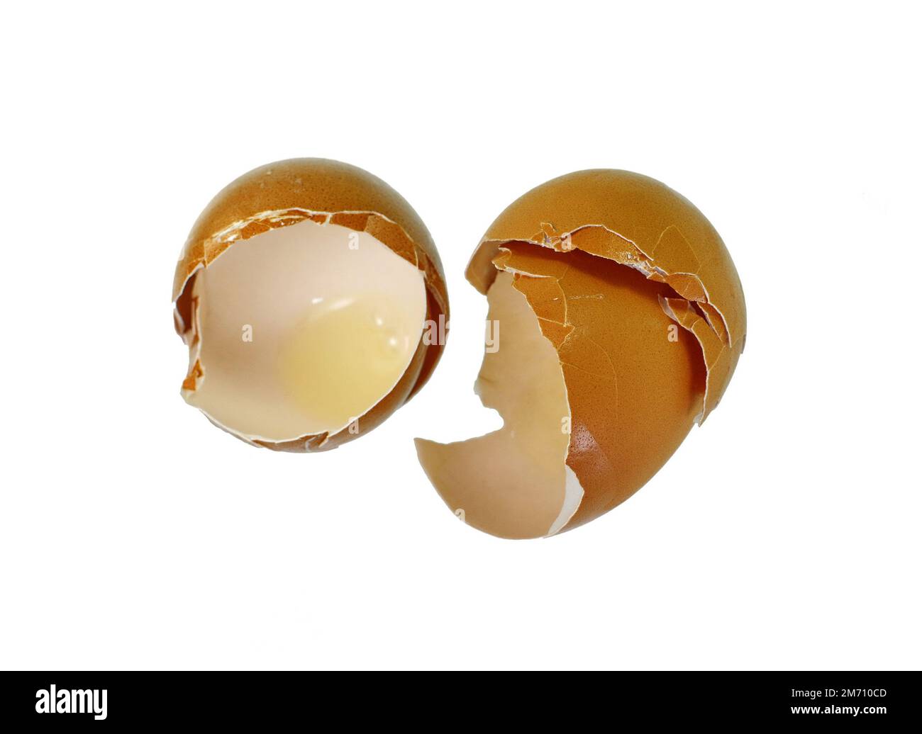 Eggs shell isolated on a white background Stock Photo Alamy