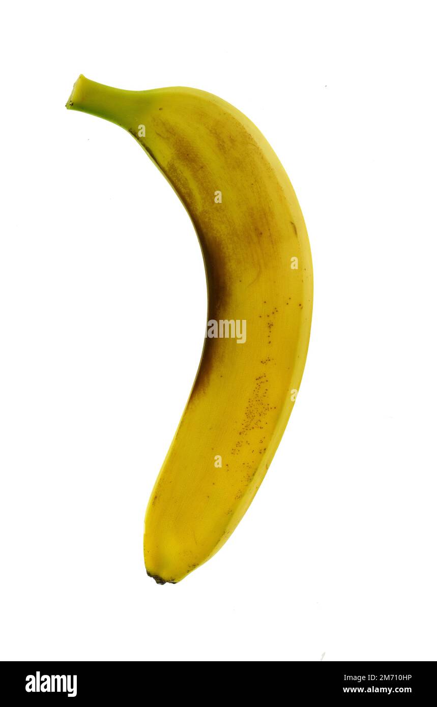Yellow Banana Isolated on white, vertical position Stock Photo Alamy