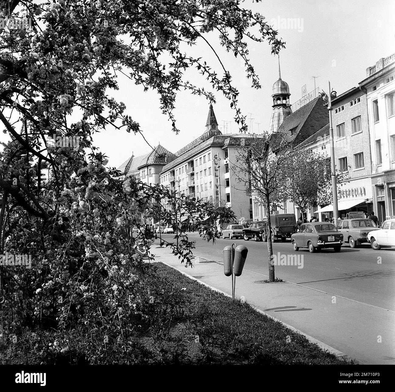Downtown Târgu Mureș, Socialist Republic of Romania, approx. 1976 Stock Photo