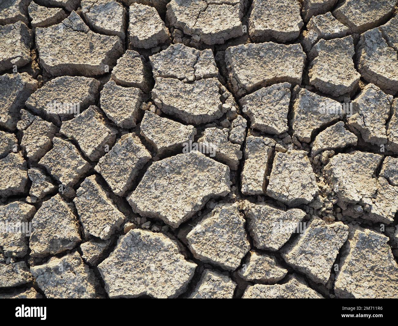 Dry cracked field. Natural texture of soil with cracks. Cracked soil background. Large cracks in the ground. Stock Photo