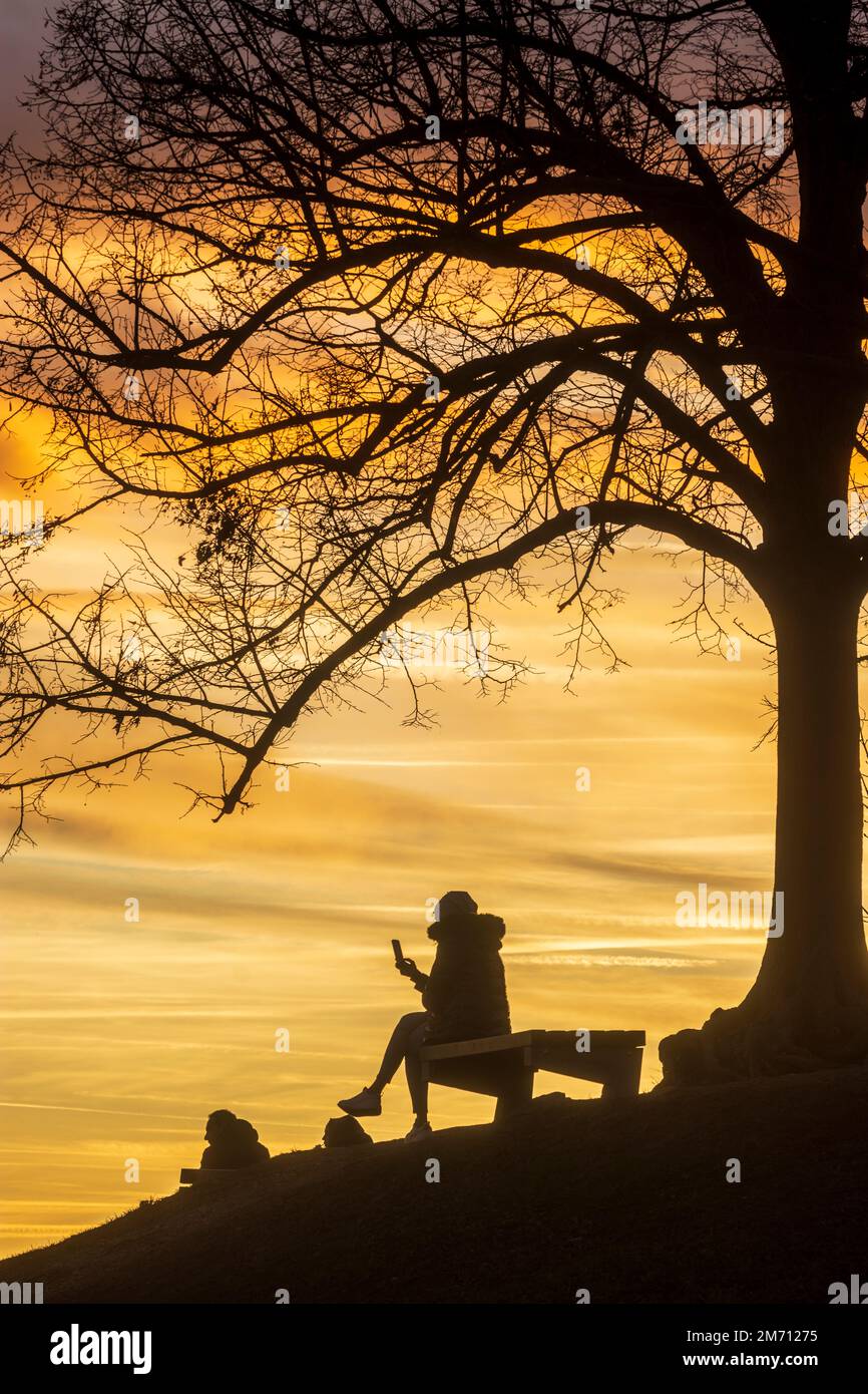 Wien, Vienna meadow and viewpoint Bellevuewiese, leafless trees, fiery