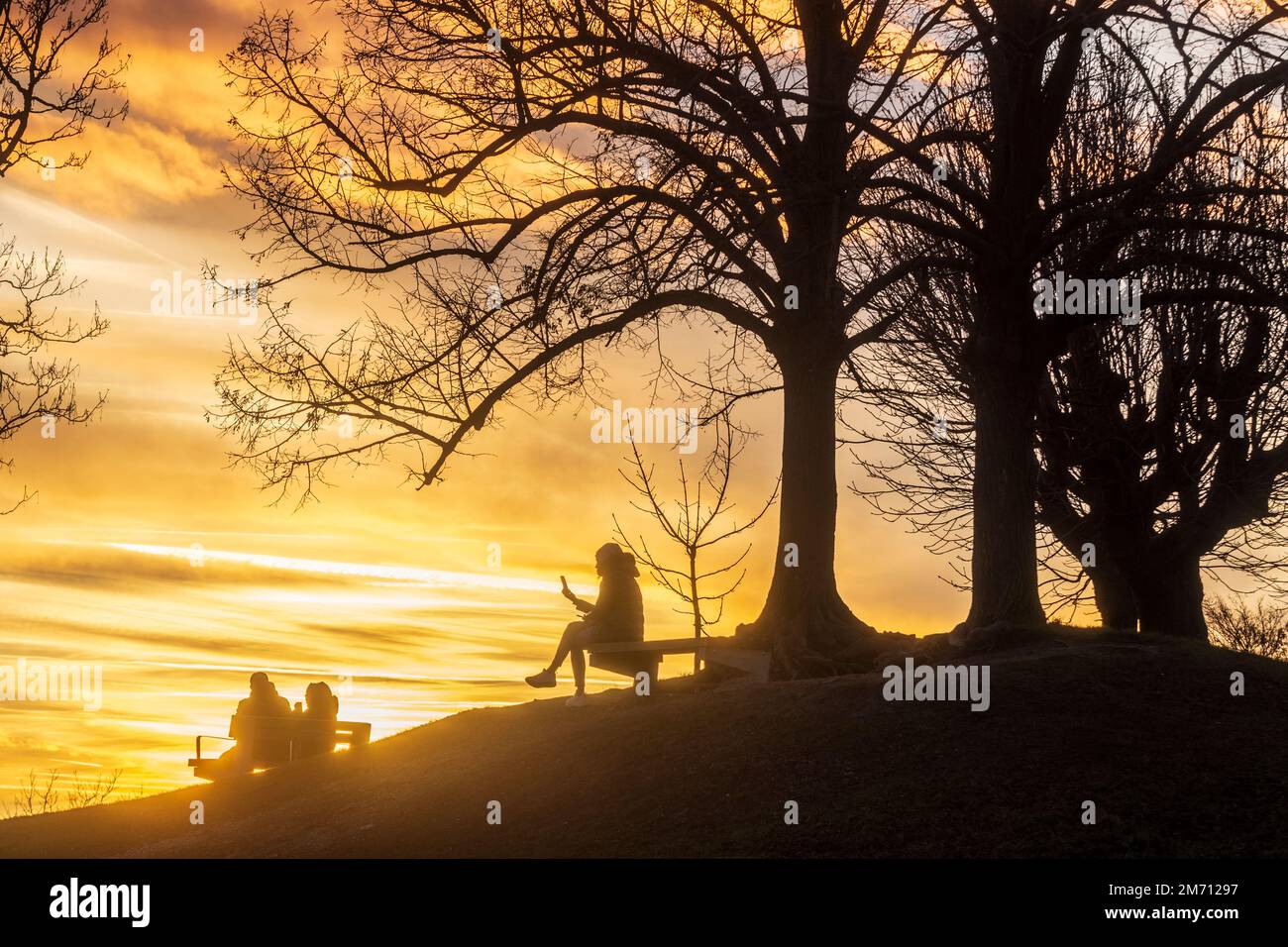 Wien, Vienna meadow and viewpoint Bellevuewiese, leafless trees, fiery