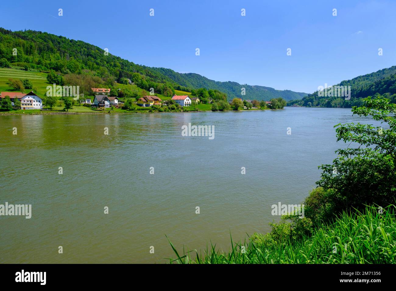 Danube, Oberranna near Engelhartszell, Upper Austria, Austria Stock Photo