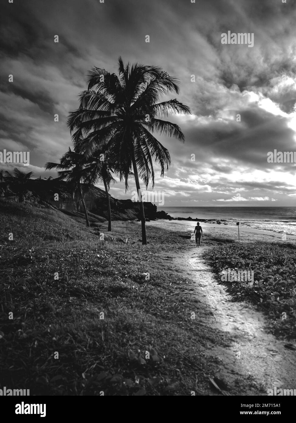 A grayscale vertical shot of a person silhouette walking alone on pathway near the sea Stock Photo