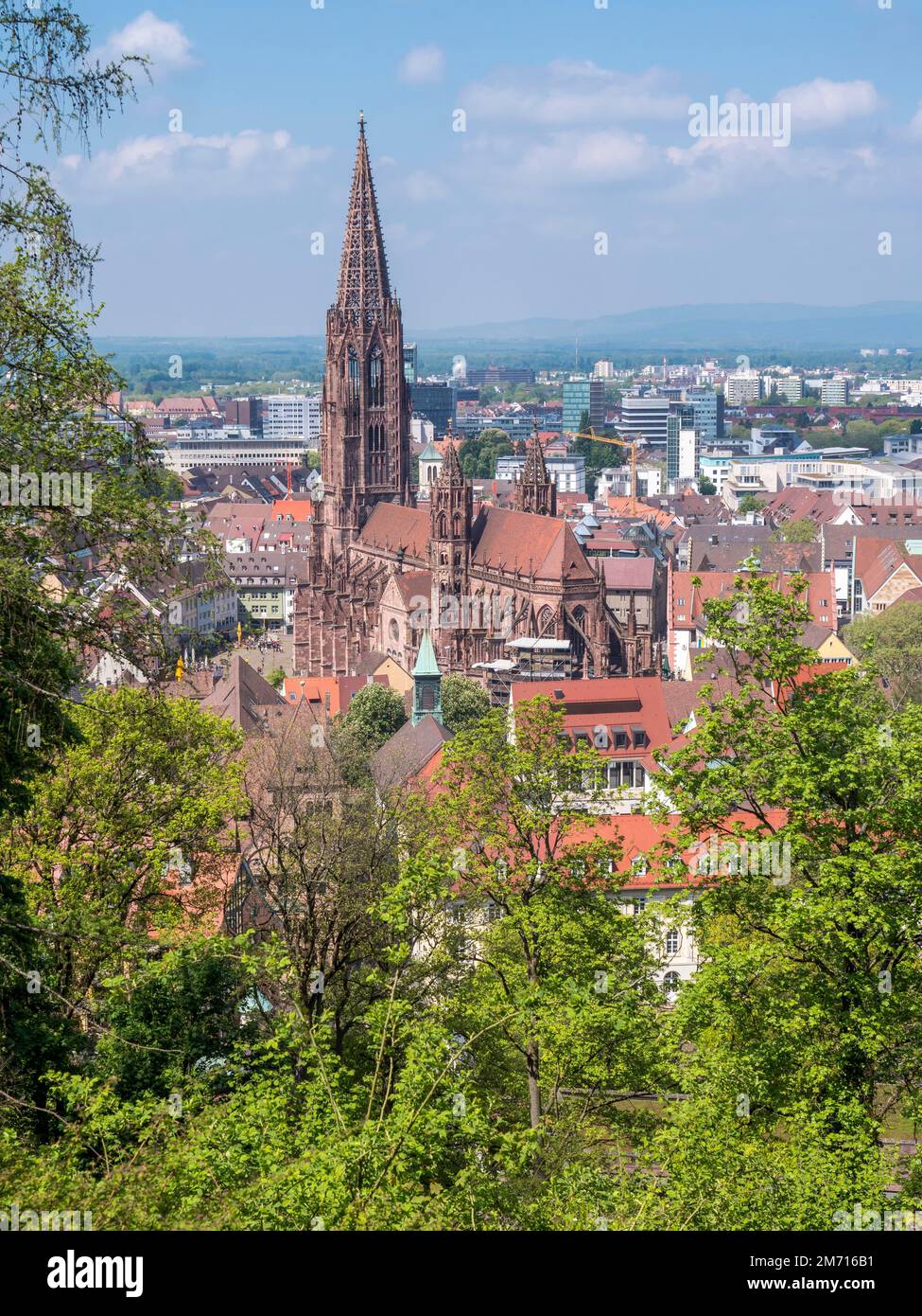 View from the Schlossberg to the city panorama and the Catholic parish church Freiburger Muenster, Freiburg Im Breisgau, Black Forest Stock Photo