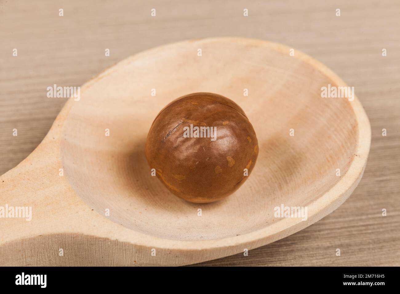 Macadamia Nuts - Macadamia Integrifolia. Stock Photo