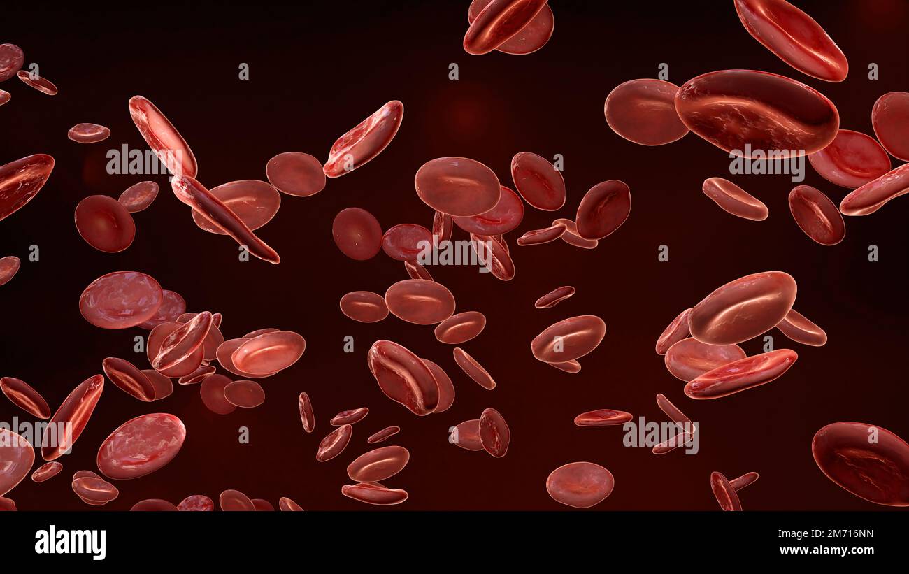 Flowing red blood cells in vein, erythrocyte, flow inside in an artery, anatomy medical, 3d render Stock Photo