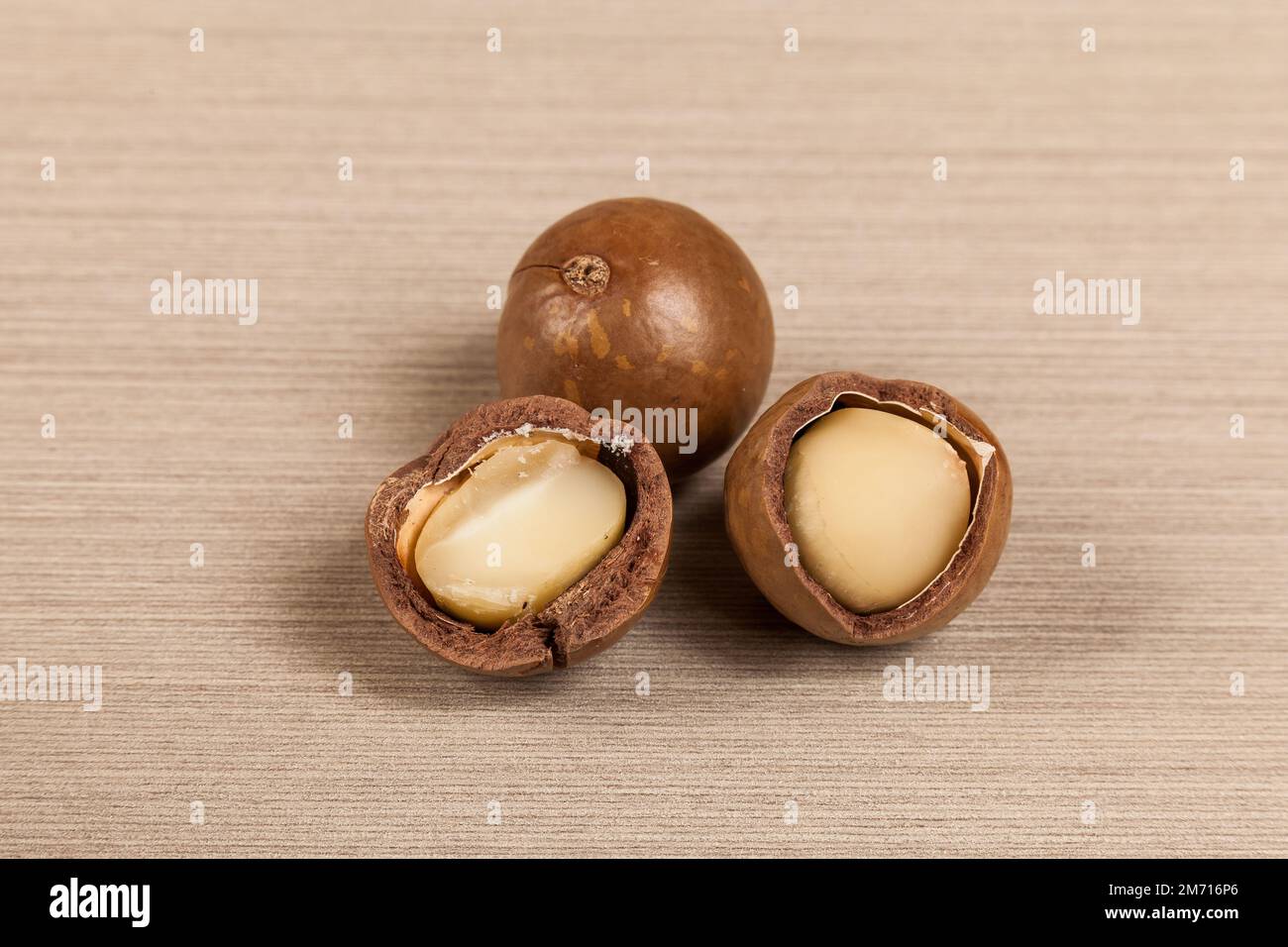 Macadamia Nuts - Macadamia Integrifolia. Stock Photo