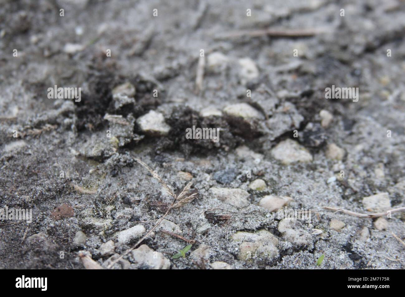 Close up of gravel and rocks Stock Photo