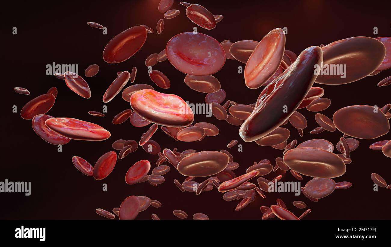 Flowing red blood cells in vein, erythrocyte, flow inside in an artery, anatomy medical, 3d render Stock Photo