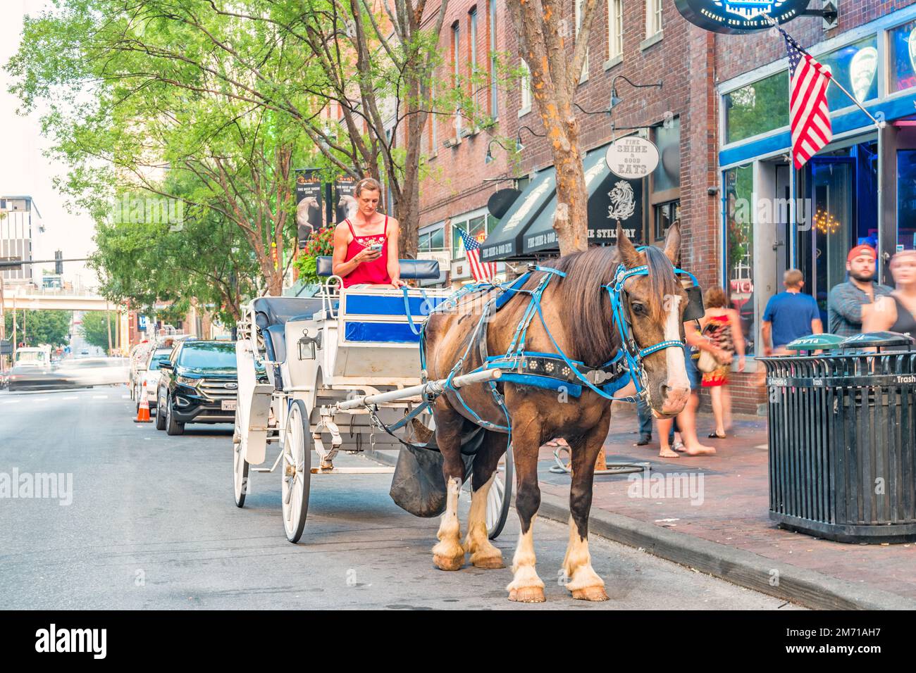 Driver with horse drawn carriage waits for customers in downtown Nashville Tennessee USA. Stock Photo