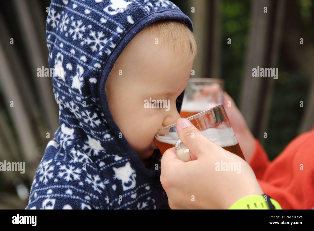 A small kid drinking beer (alcohol) from a glass in hand of adult Stock Photo