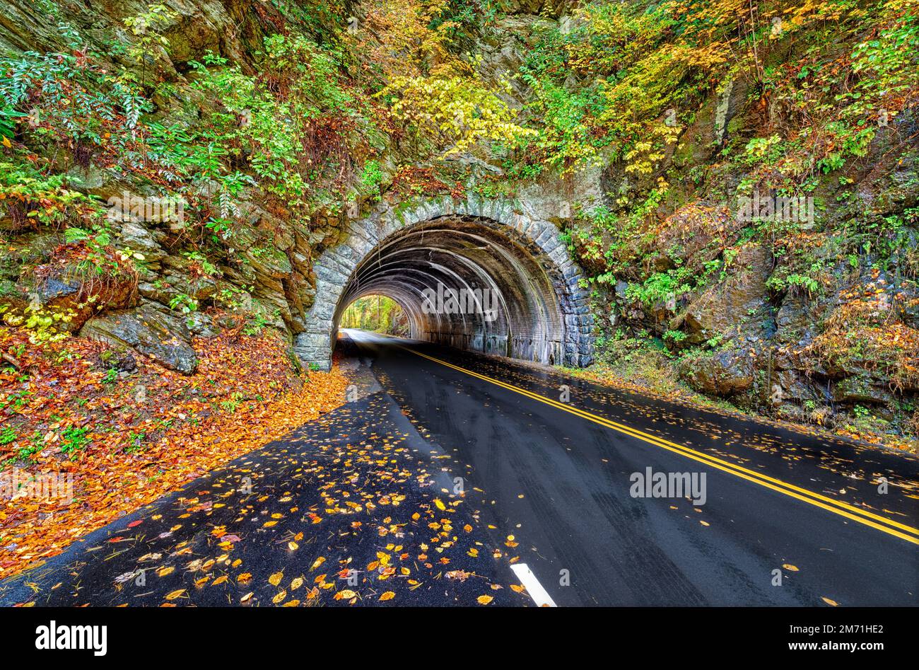 A landmark Smoky Mountains tunnel, which lies between Townsend, Tennessee and Cades Cove,  is surrounded by a show of Autumn colors. Stock Photo