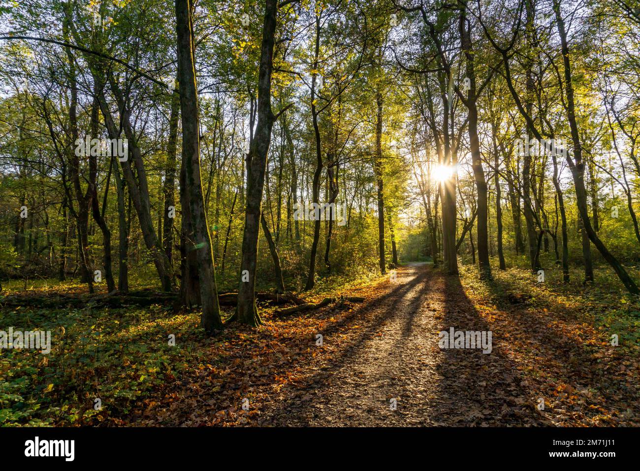 Human intervention hires stock photography and images Alamy
