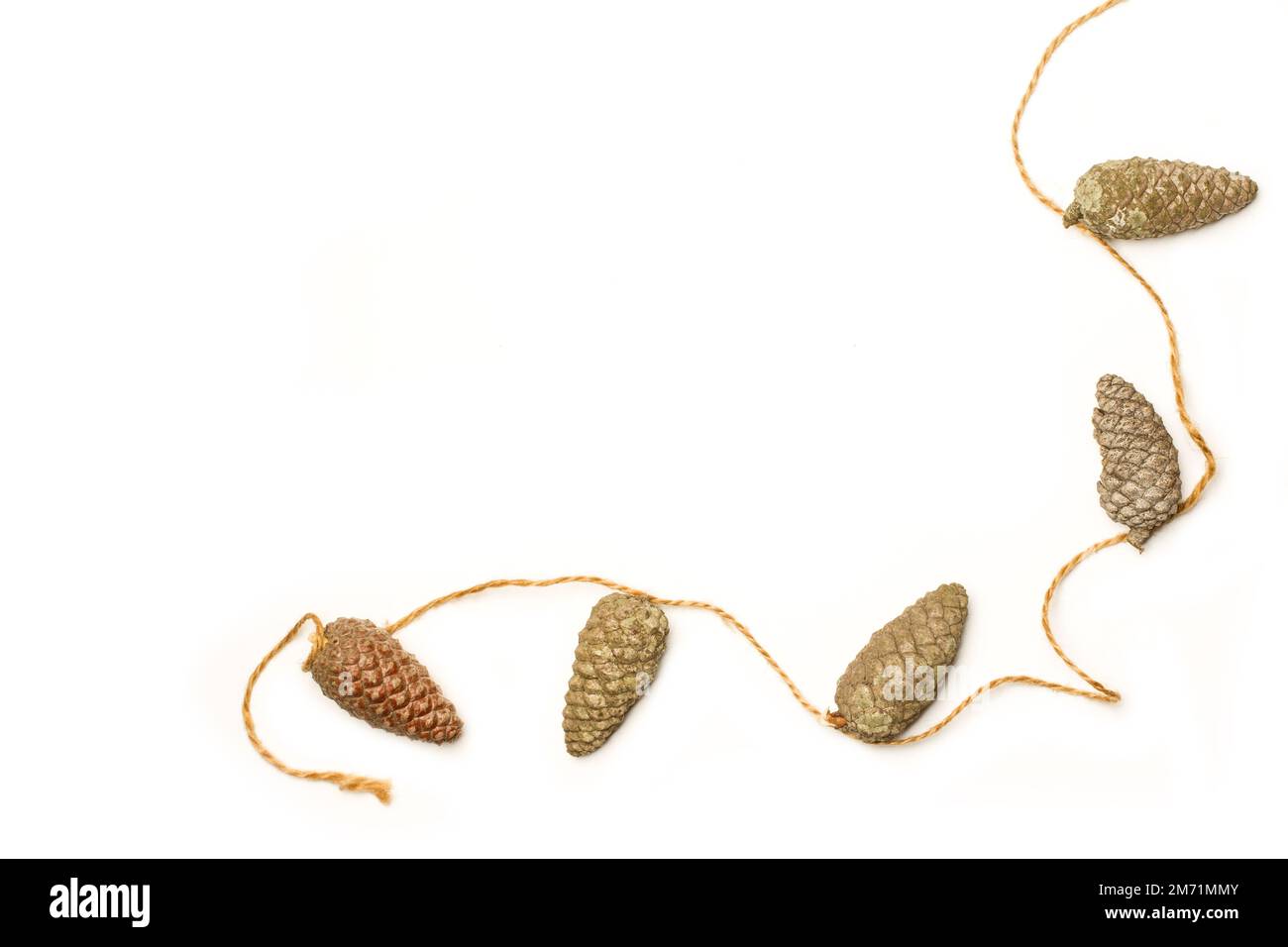 Pine cones tied by a sisal thread on a white background with copy space ...