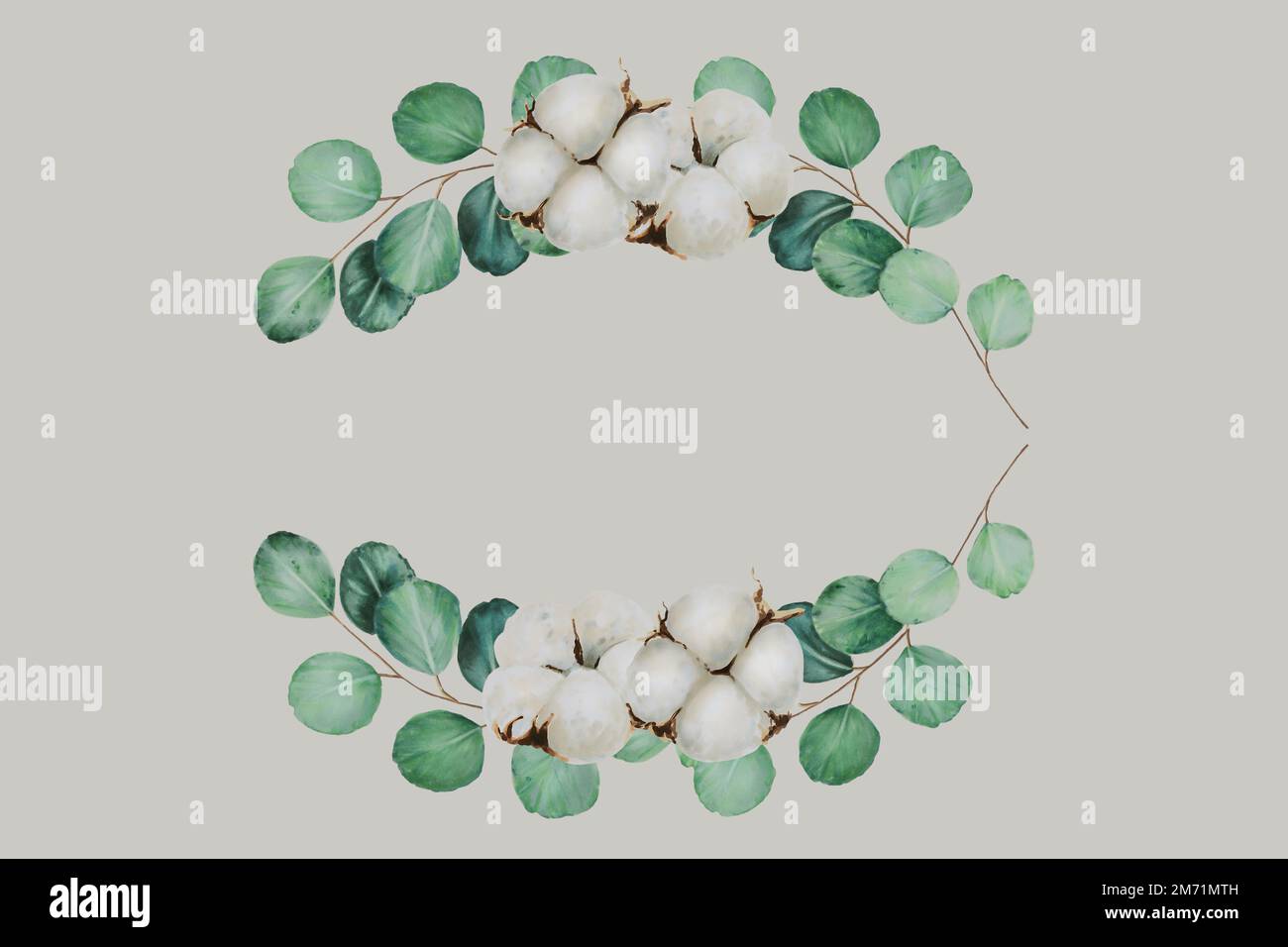 Frame with cotton flowers and eucalyptus branches watercolor Stock ...