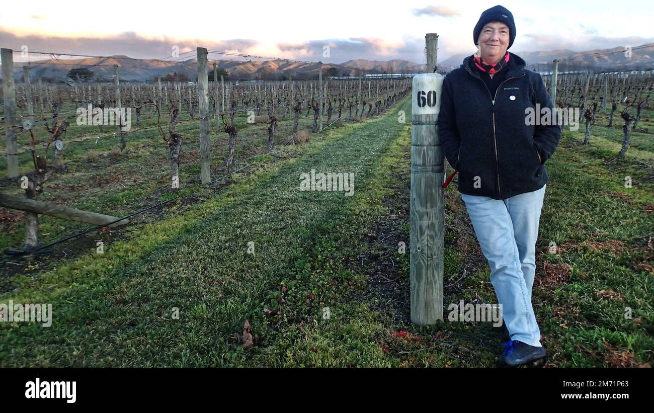 Middled aged woman (60) at the end of row of bare vines in winter, in a Marlborough (NZ) vineyard with the Wither Hills in the distance Stock Photo