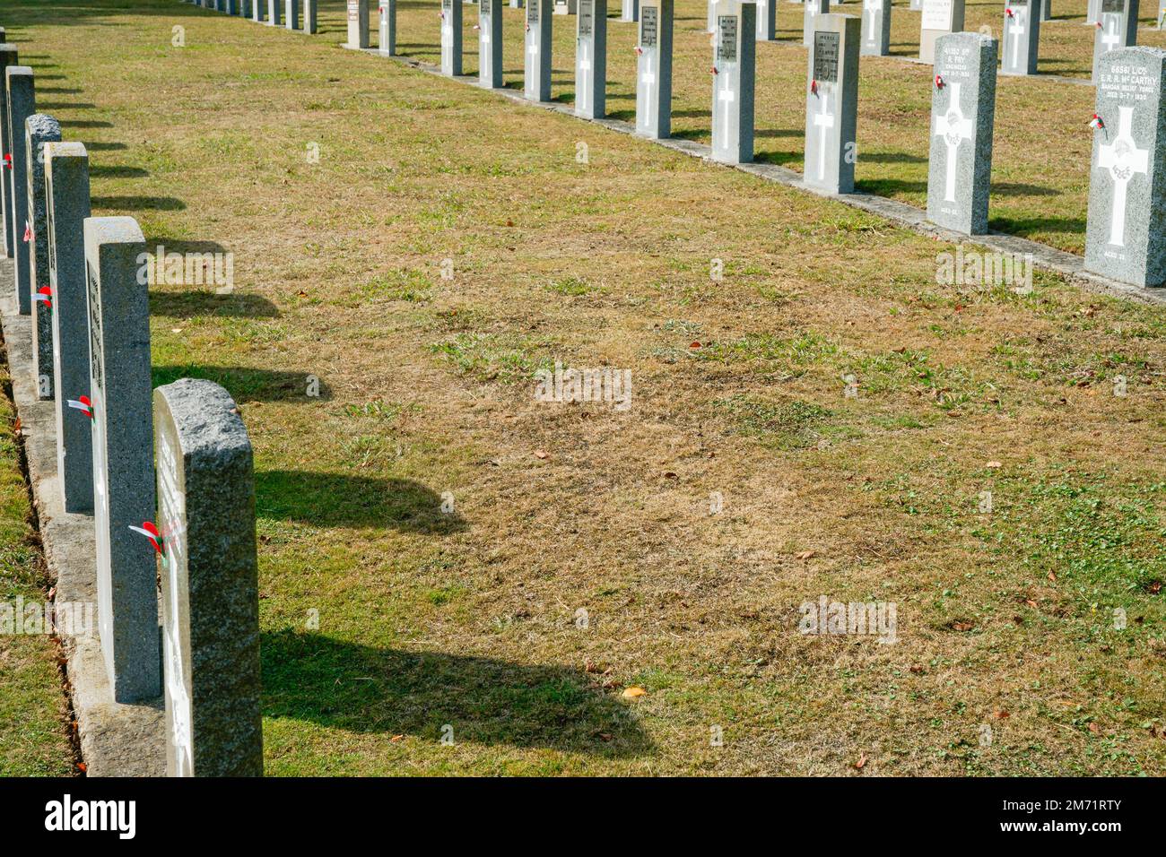 Hamilton New Zealand April 25 2010; Headstones of fallen soldiers in