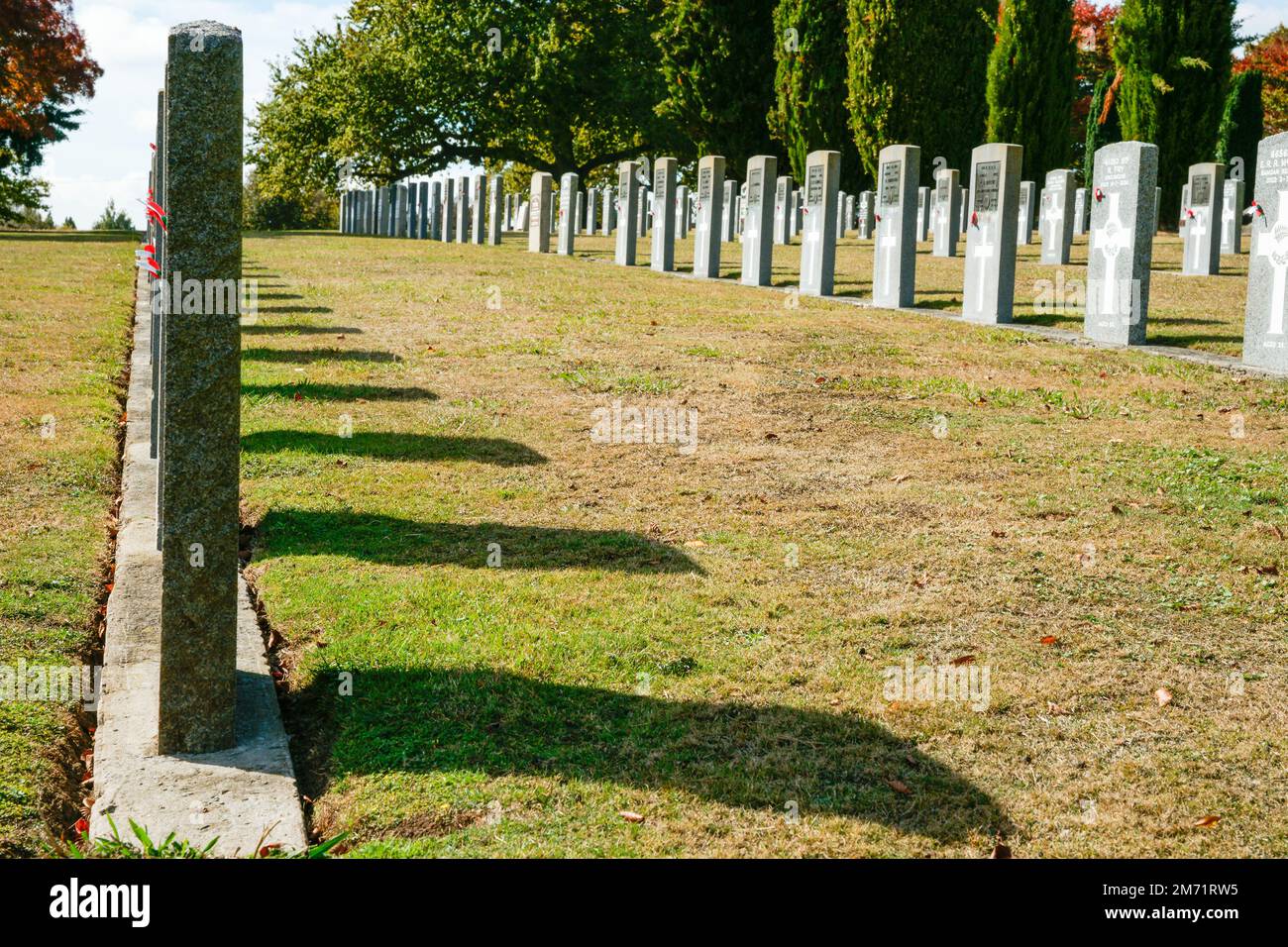 Hamilton New Zealand April 25 2010; Headstones of fallen soldiers in