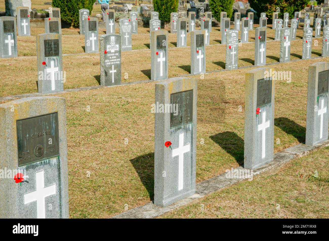 Hamilton New Zealand April 25 2010; Headstones of fallen soldiers in