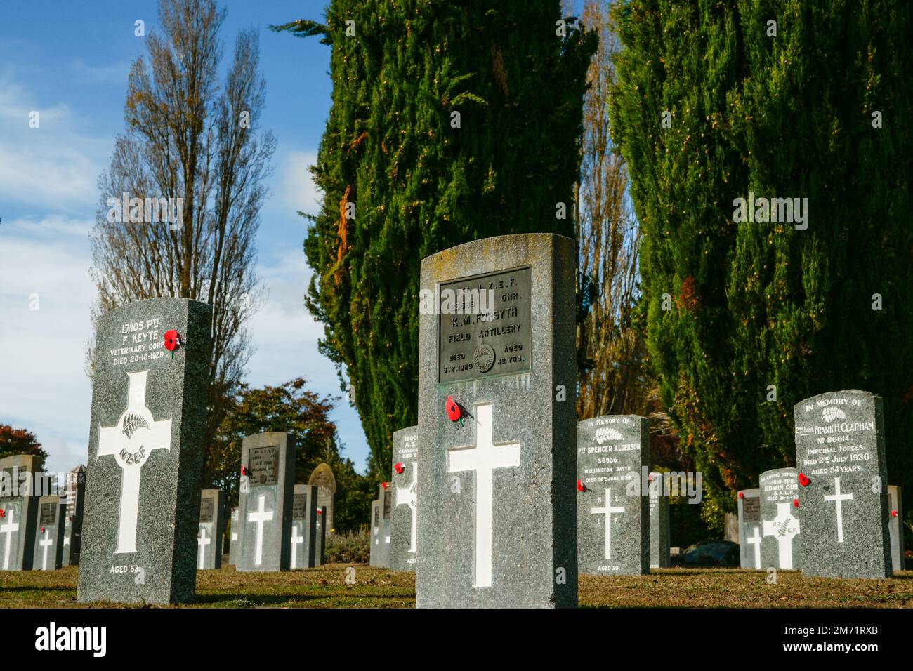 Hamilton New Zealand April 25 2010; Headstones of fallen soldiers in