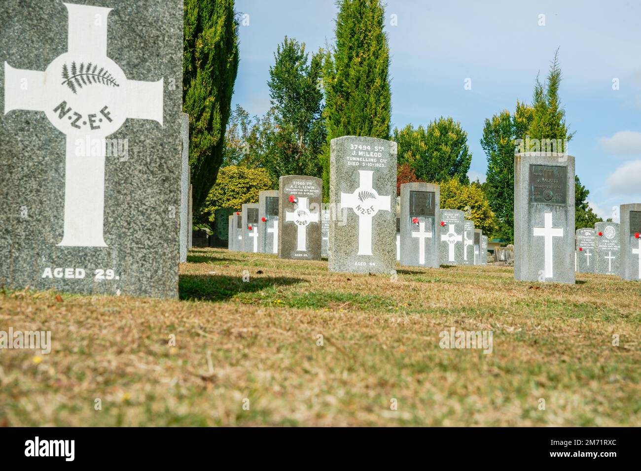 Hamilton New Zealand April 25 2010; Headstones of fallen soldiers in