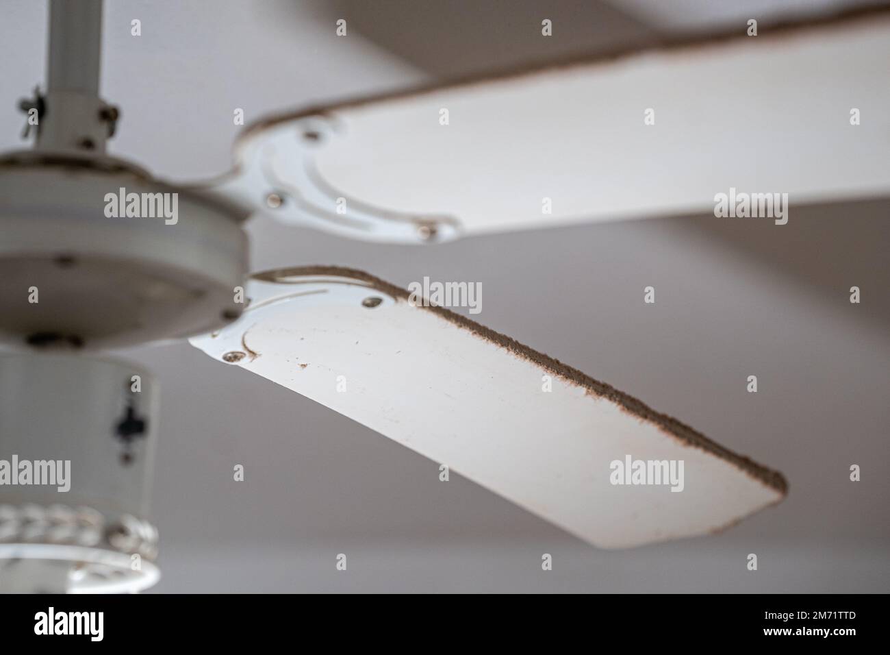 Dust on ceiling fan, Dust on the blades of a ceiling fan Stock Photo
