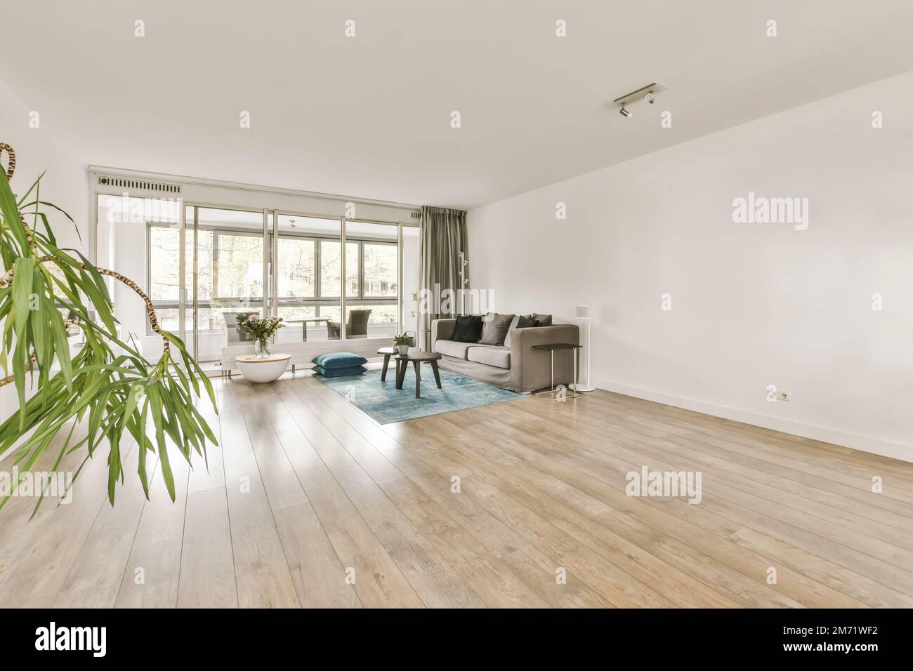 a living room with white walls and hardwood flooring, including a large